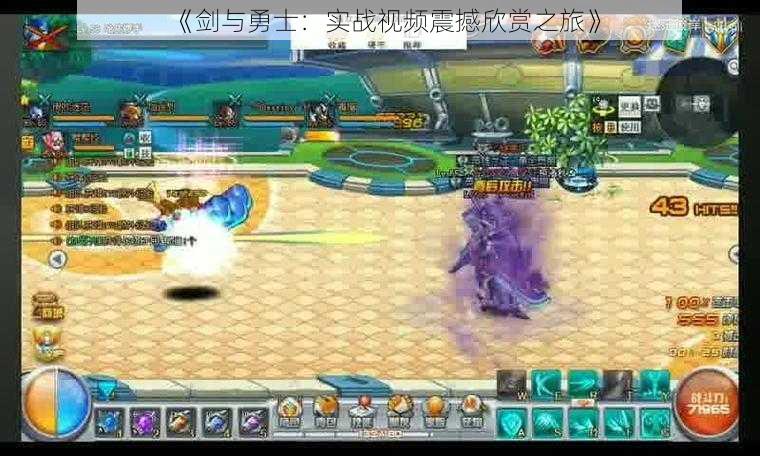 《剑与勇士:实战视频震撼欣赏之旅》