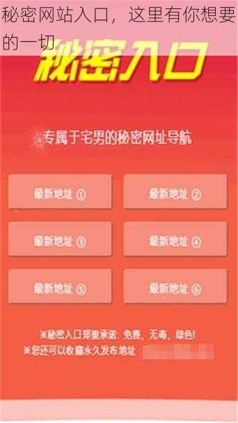秘密网站入口,这里有你想要的一切