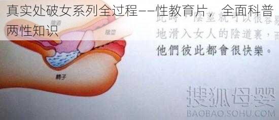 真实处破女系列全过程——性教育片,全面科普两性知识